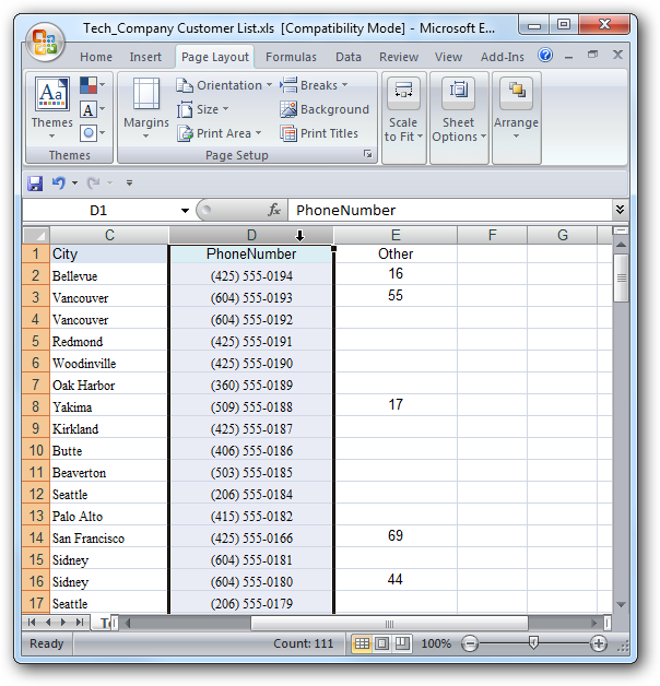 use-conditional-formatting-to-find-duplicate-data-in-excel-2007