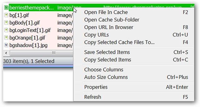 cache-view-04