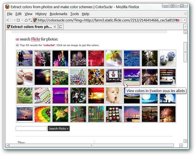 colorsuckr-08