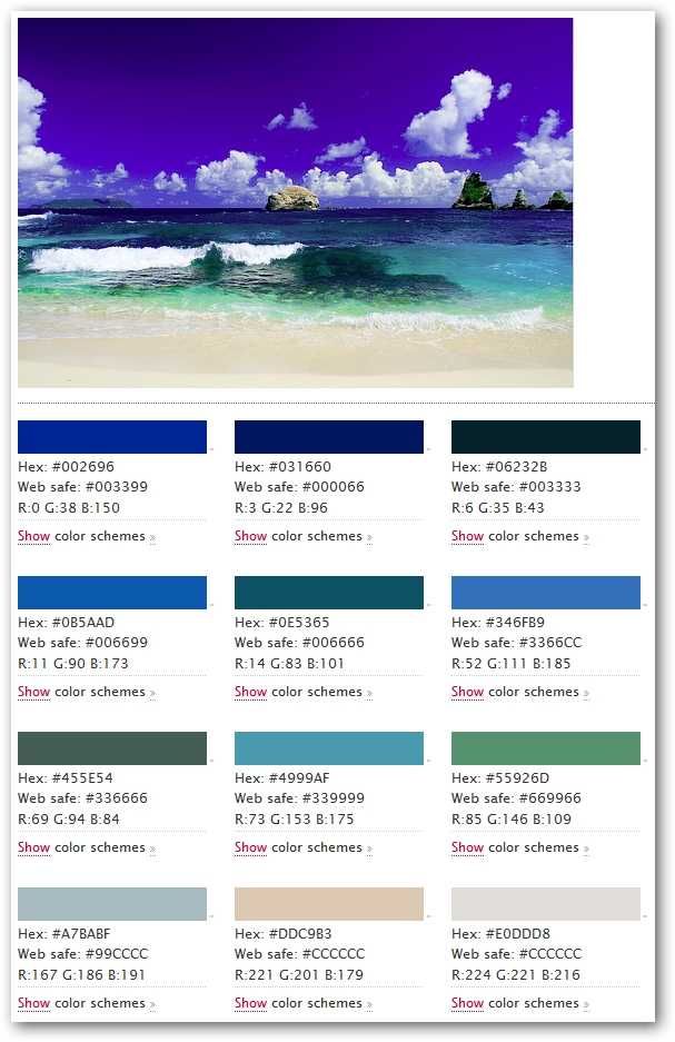 colorsuckr-09
