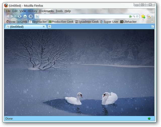 Hide Some or All of the GUI Bars in Firefox