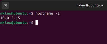 The output of the hostname -I command. 