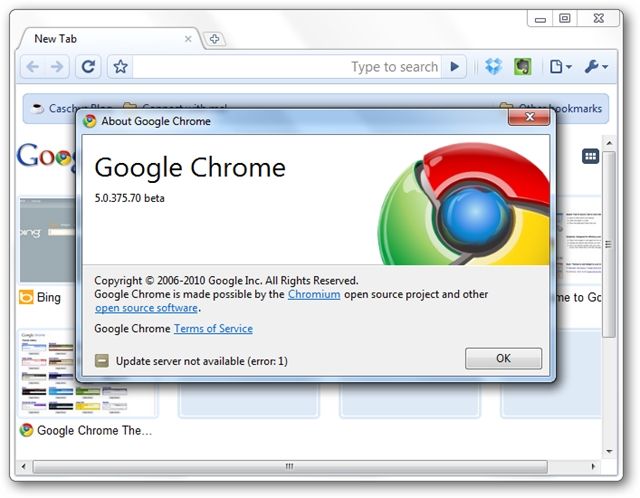Run Portable Chrome From Your Flash Drive on Any Windows Machine