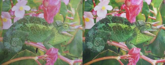 comparison[2]