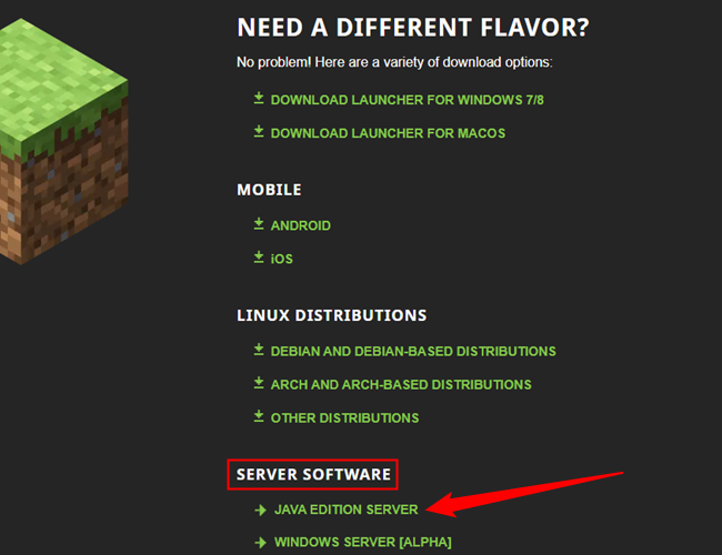 Look for the "Server Software" section, then click "Java Edition Server." 