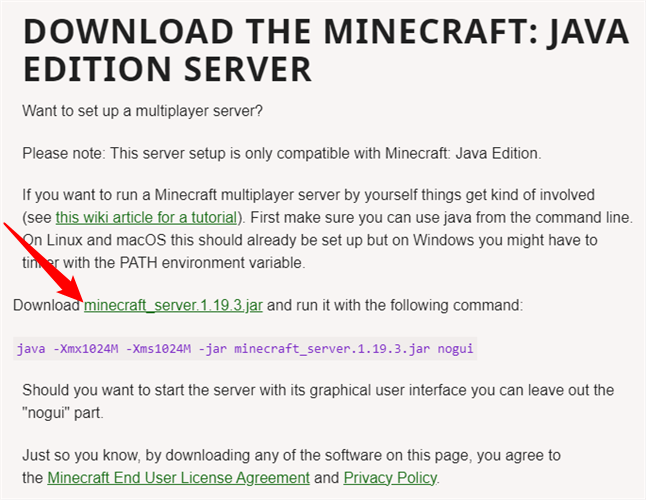 Click "Minecraft_server_1.19.3.jar" to download the Minecraft Server file. 