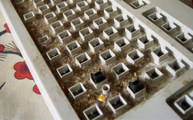 Dirt built up in the base of a keyboard