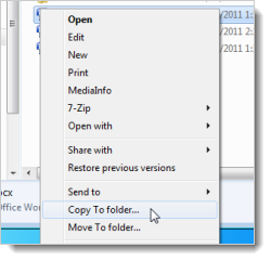 10_copy_to_folder_option