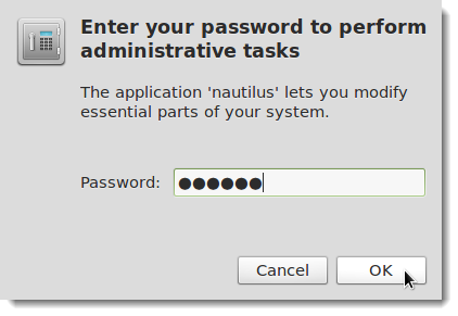 08_entering_password_to_authenticate