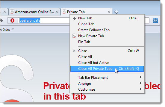 23_selecting_close_all_private_tabs