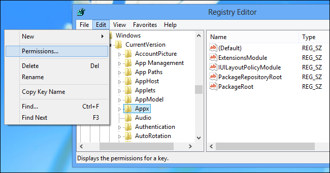 appx-key-permissions