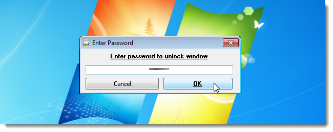 03_wl_entering_password_to_access_window
