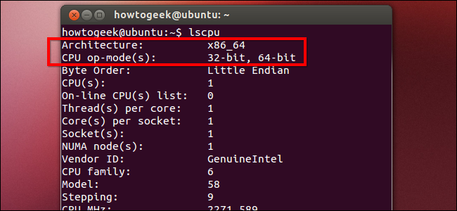 tell-if-32-or-64-bit-cpu-on-linux