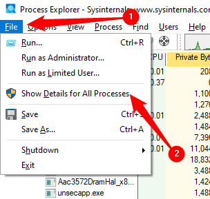 Click File &gt; Show Details For All Processes in Process Explorer.