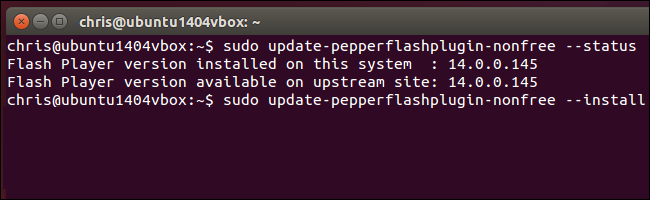 update-pepper-flash-plugin-for-chromium-on-ubuntu
