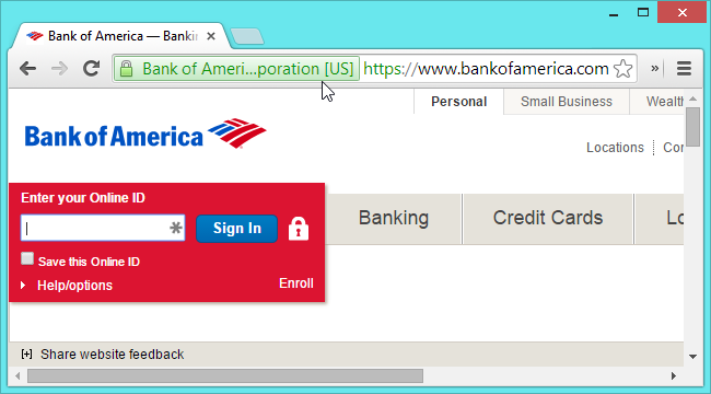 bank-of-america-ev-certificate-green-name