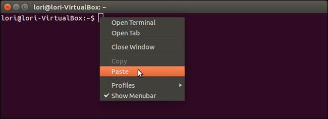 02_selecting_paste_in_terminal
