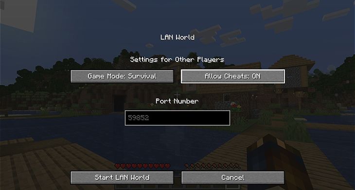 The Minecraft LAN World settings menu.
