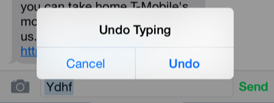 The Undo Typing prompt on iPhone.