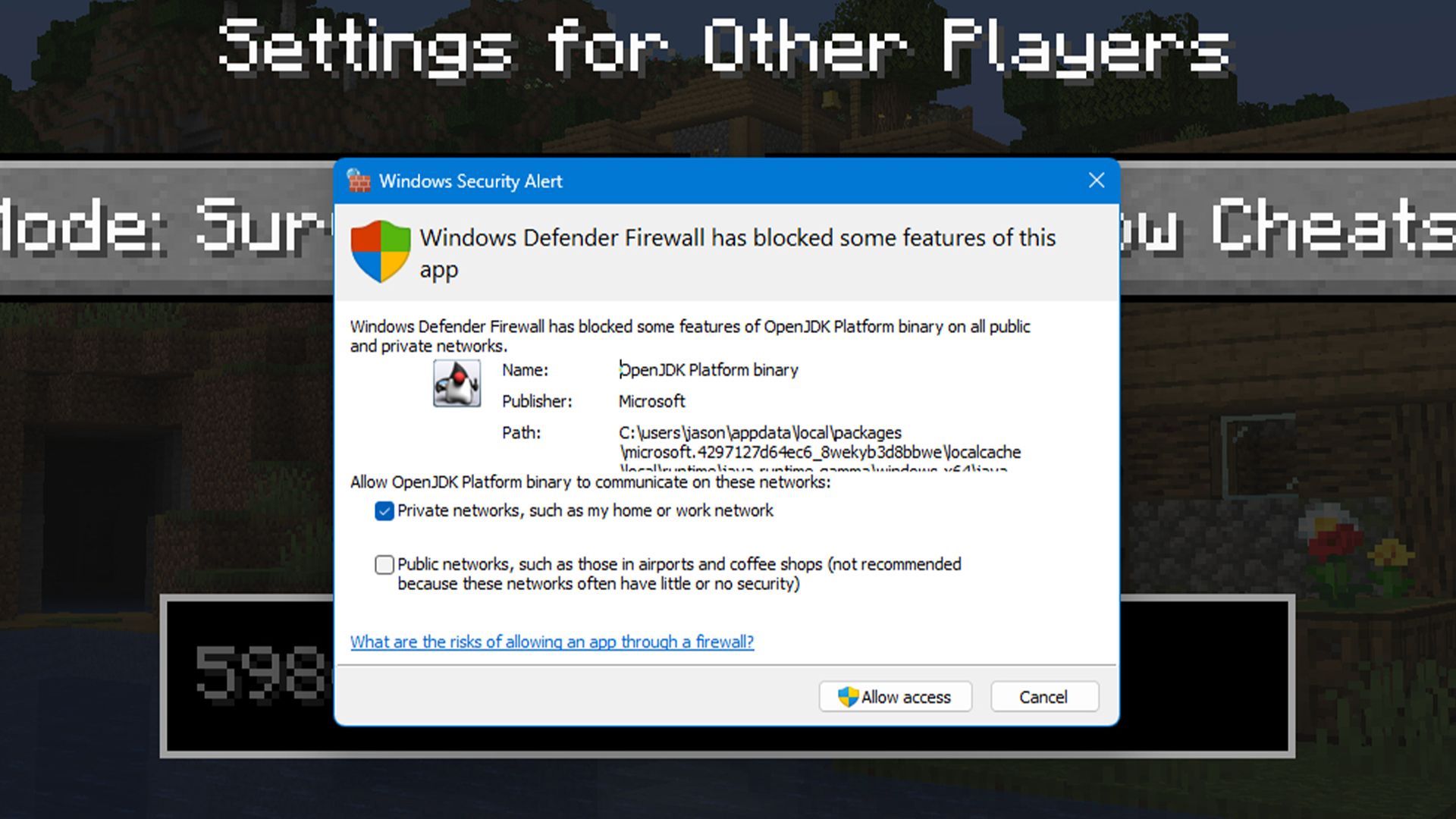 An example of the Java firewall popup you see in Windows when you try to host a local Minecraft game.