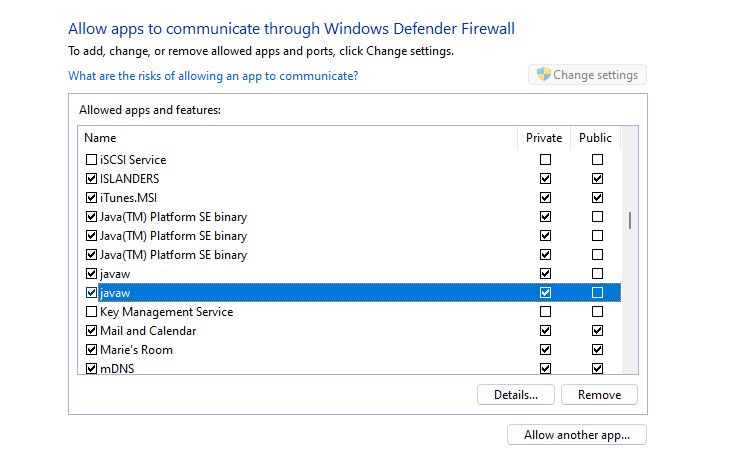 A screenshot of Windows Defender Firewall, showing javaw configured to access the local private network.