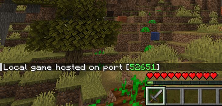 A closeup view of a Minecraft game showing the port number of a local game.