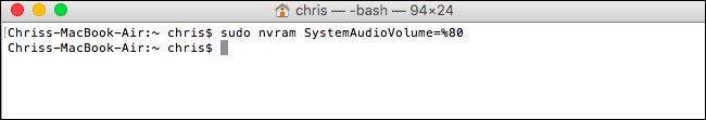 Run the sudo nvram command that will mute the Mac startup sound.