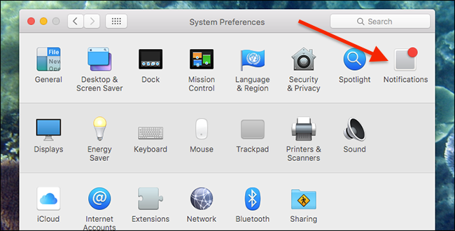 system-preferences-notifications