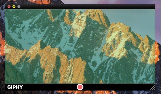 How to Turn Your Computer Screen Into an Animated GIF