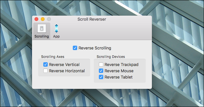scroll-reversal-options