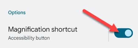 Enable the "Magnification Shortcut."