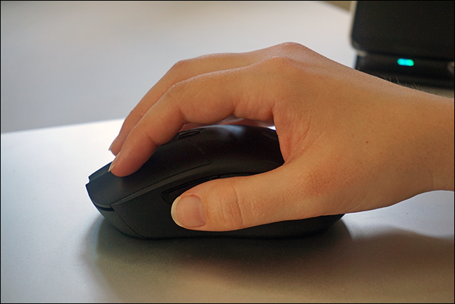 Tip grip on a mouse.