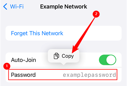 Tap the &quot;Password&quot; field to reveal the Wi-Fi network's password. 