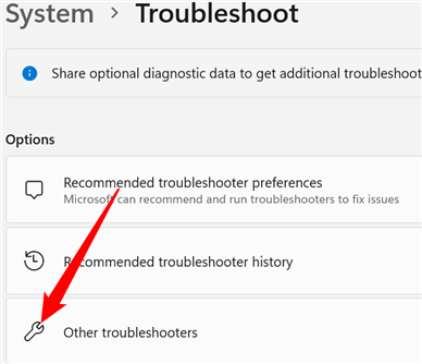 Click "Other Troubleshooters."