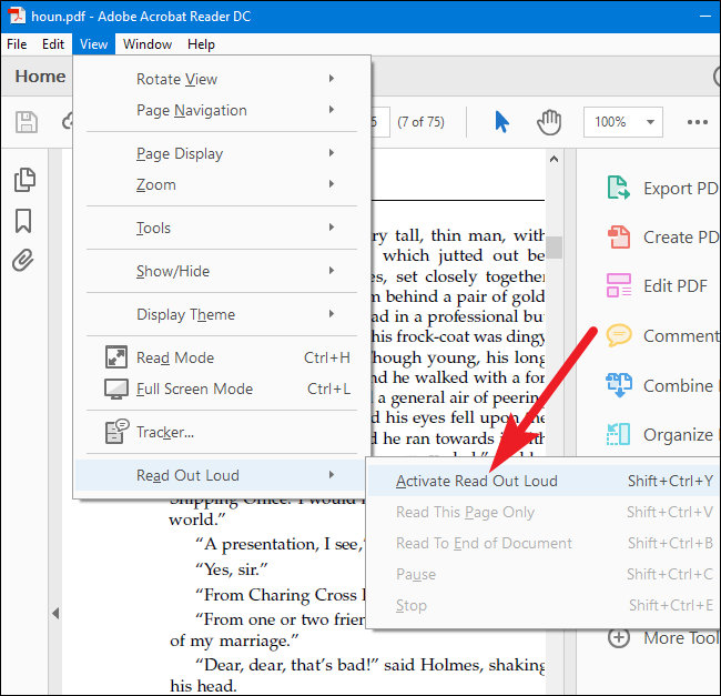 How to Make Your Computer Read Documents to You