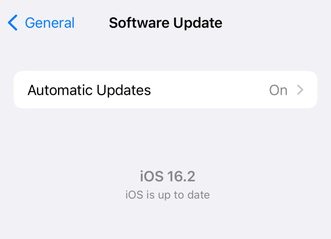 Update your iPhone from the Software Update screen in Settings.