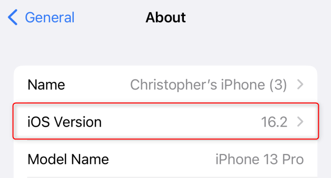 The version number displayed next to "iOS Version" in the Settings app.