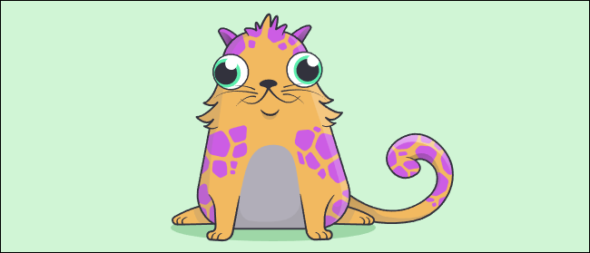 CryptoKitty Founder Cat #18.