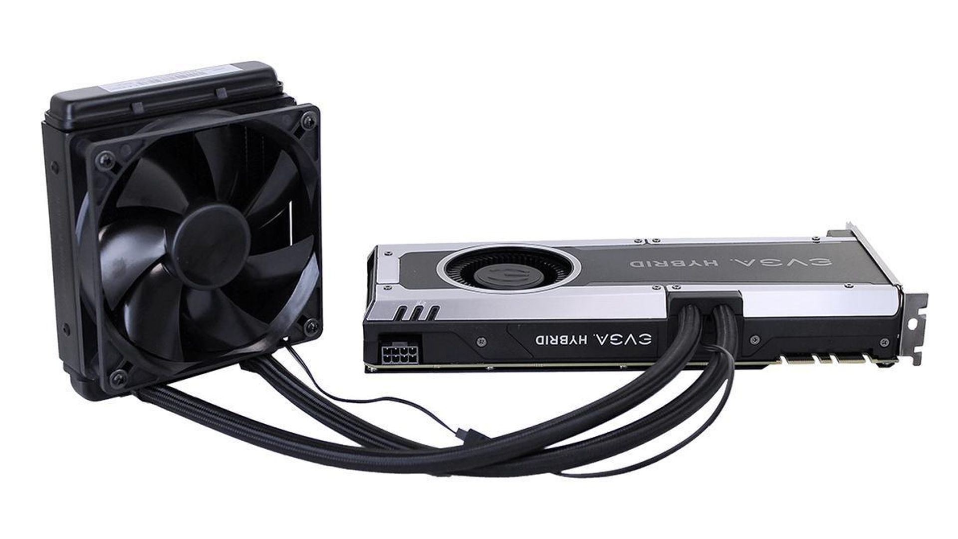 EVGA graphics card on white background