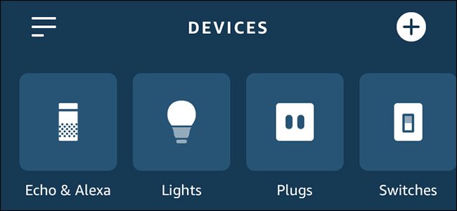 Alexa app showing lights, plugs, and switches.