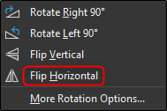 Flip image horizontally
