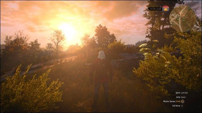 Witcher 3 screenshot. 