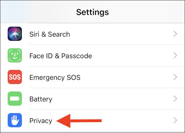 Open Settings and tap Privacy
