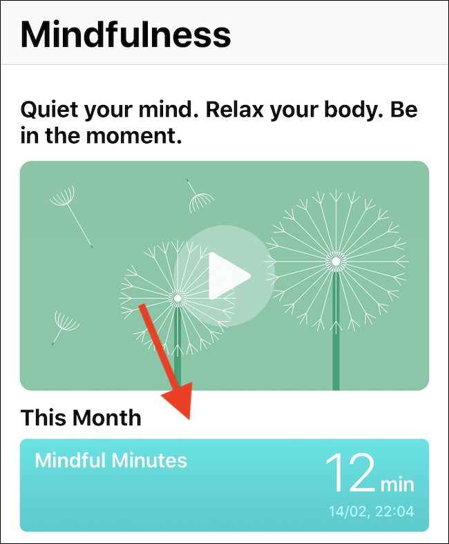 How to Add Data to the Health App's Today Screen on iPhone