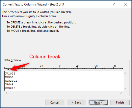 Insert column break in Text to Columns