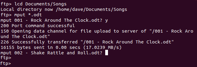 mput command in a terminal window