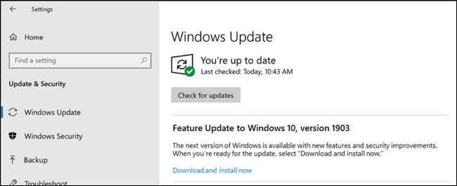 An option to install a feature update in Windows Update.