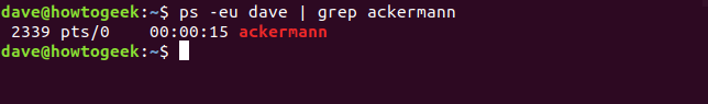 ps piped through grep in a terminal window