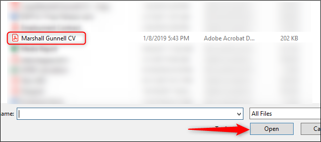 How to Insert a PDF Into Excel