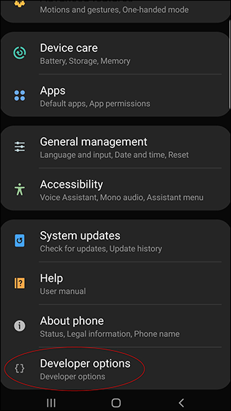 A screenshot of the Android settings page with the Developer Options now available